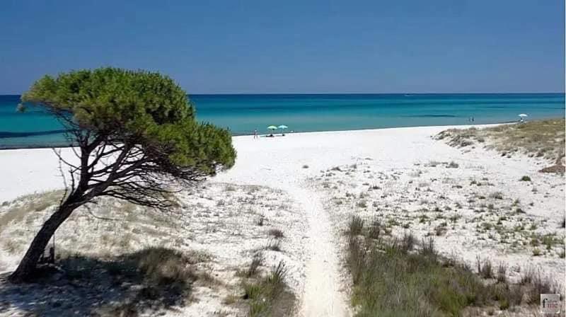 Le Residenze Del Mare Monolocale N2 Appartement La Caletta Buitenkant foto